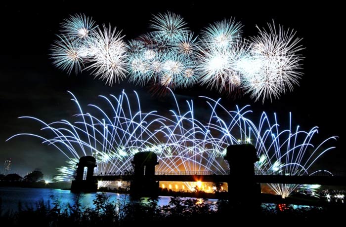 夜空に鮮やかな花火