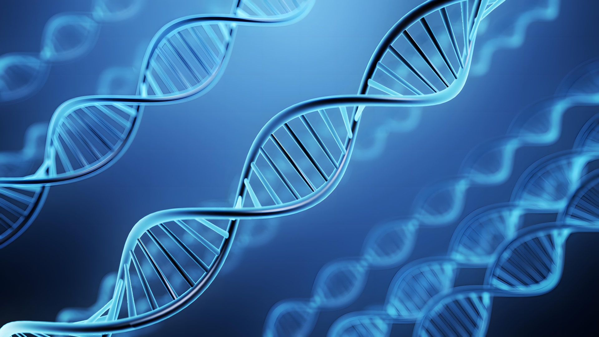 データ活用　イメージ