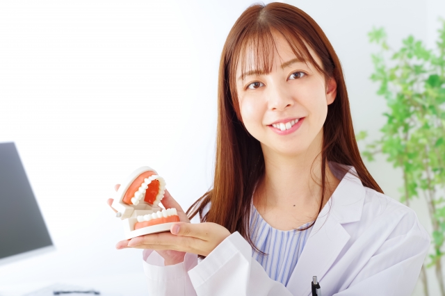 歯列模型をもつ白衣の若い女性